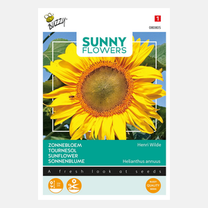 Buzzy® Sunny Flowers. Zonnebloem King Kong