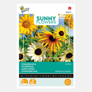 Buzzy® Sunny Flowers. Zonnebloem Esther