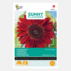 Buzzy® Sunny Flowers. Zonnebloem Moulin Rouge