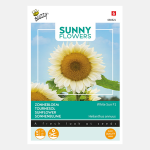 Buzzy® Sunny Flowers. Zonnebloem White Sun F1