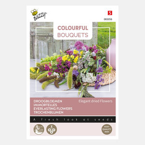 Bouquets colorés Buzzy®. Fleurs séchées élégantes