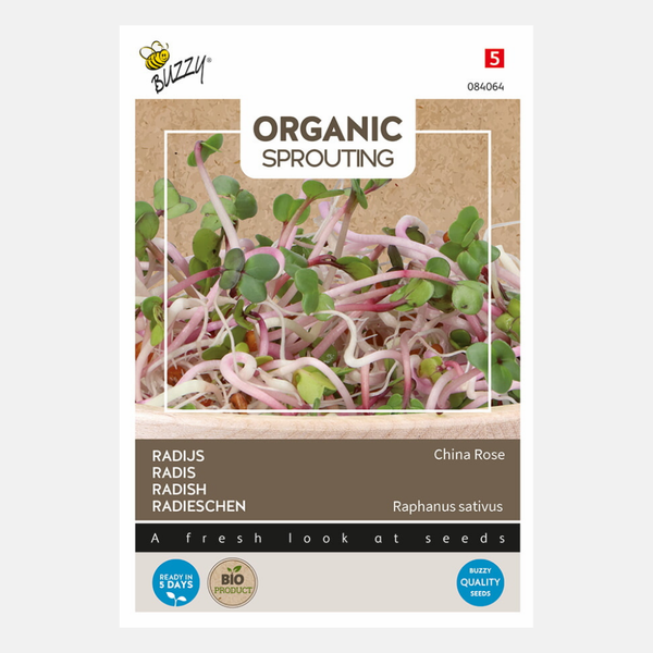 rose sprouting seeds Radish sprouts 'China Rose' BIO – PLUKKERS