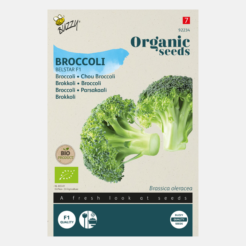 Broccoli 'Belstar' F1 BIO