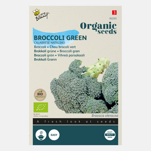 Broccoli 'Groene Calabrese' BIO