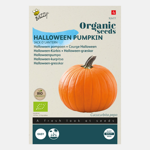 Buzzy® Citrouille biologique 'Jack O'Lantern' BIO