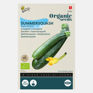 Courgette Bio 'Black Beauty' BIO