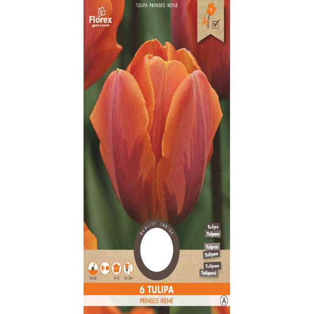 Tulp Prinses Irene - 6 stuks