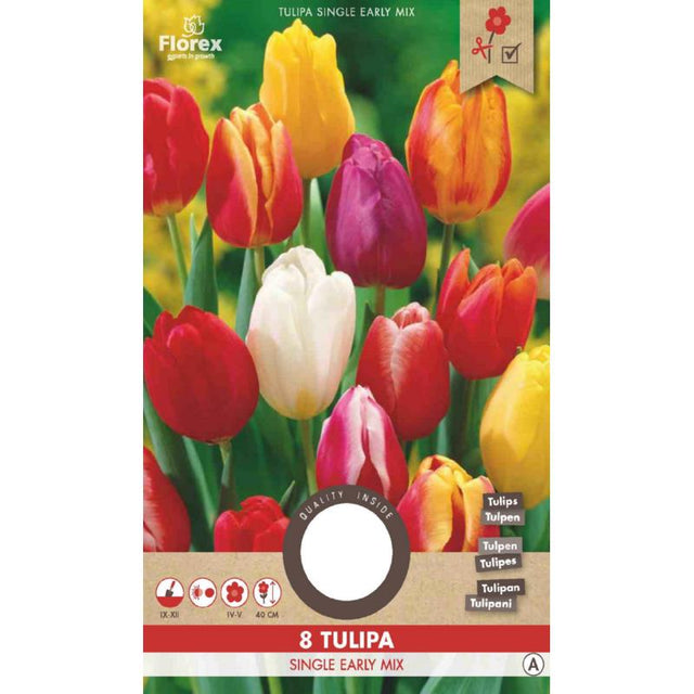 Tulp mix - 8 stuks