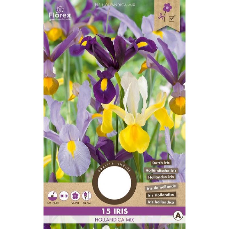 Iris Hollandica mixte 7/8 15pcs.