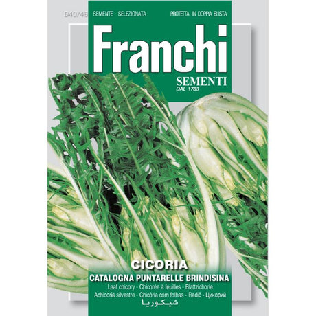 Franchi Cicoria Catalogna Puntarella Brindisina