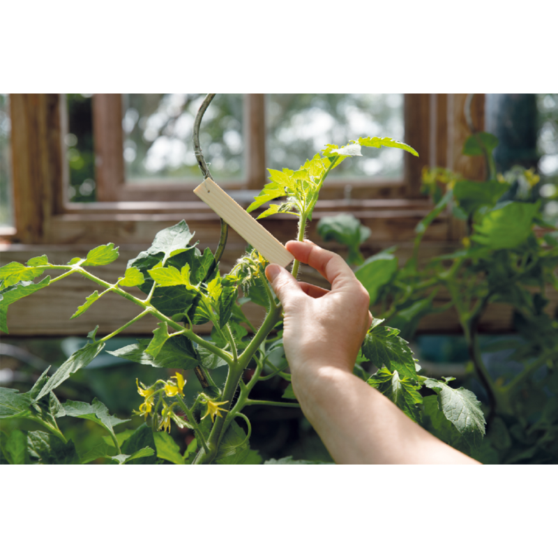 SOGO Hangtag wood 10cm 14 pieces