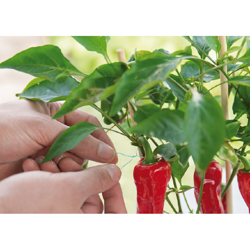 Fil de reliure métallique avec lame - 100 m