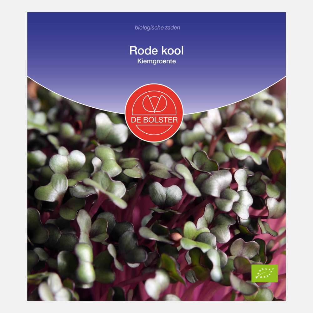 Rode kool - Kiemgroenten BIO – Plukkers.com