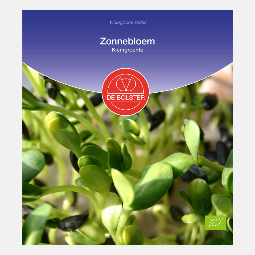 Sunflower - Sprouts BIO – PLUKKERS