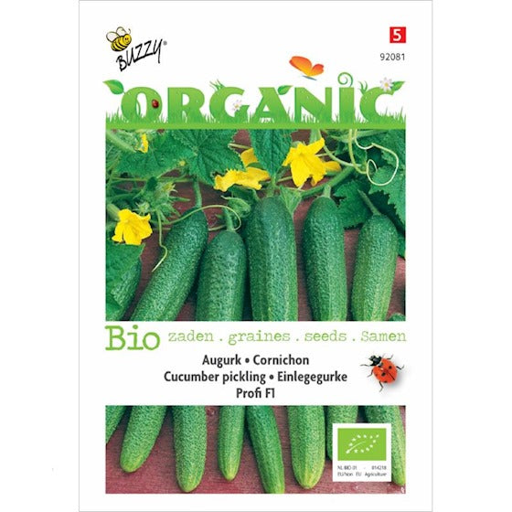 Bio BIO Pickle Profi F1 – ca. 10 Samen