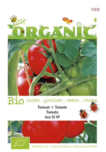 Tomaten Ace 55VF BIO te koop op Moestuinweetjes.com