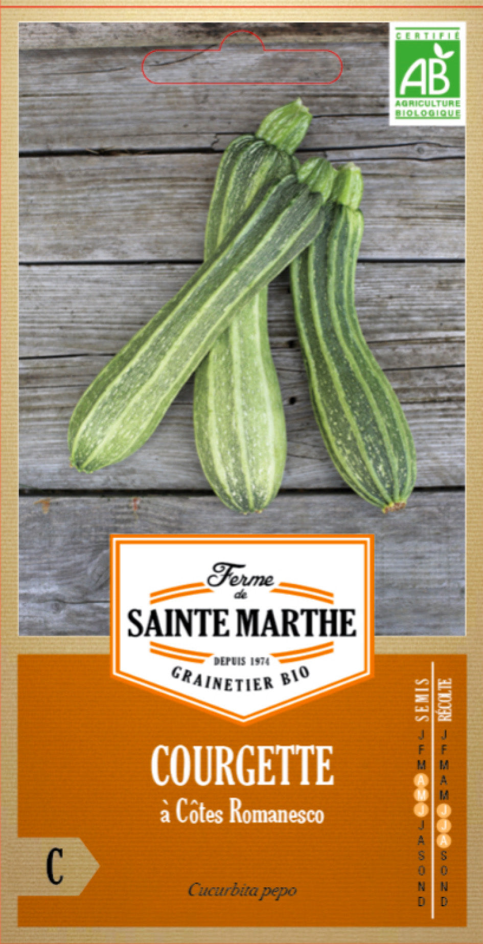 Graines de Courgette 'À CÔTES ROMANESCO' BIO