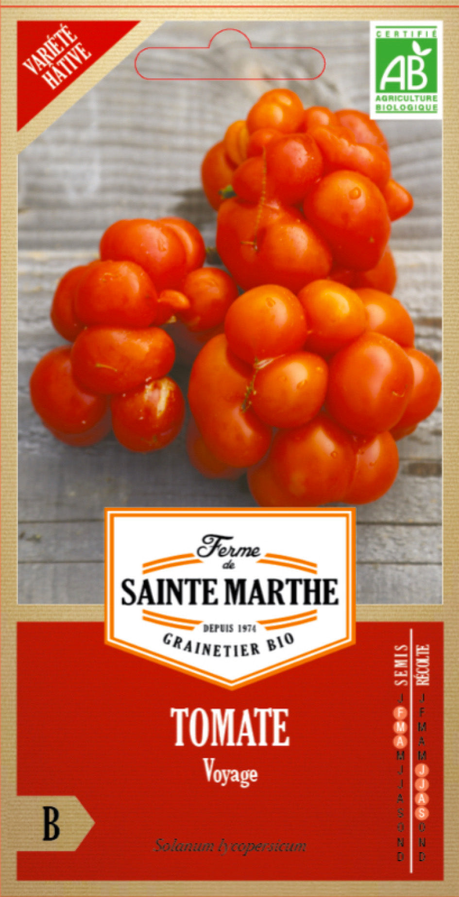 Semences de Tomate Voyage BIO (variété précoce)