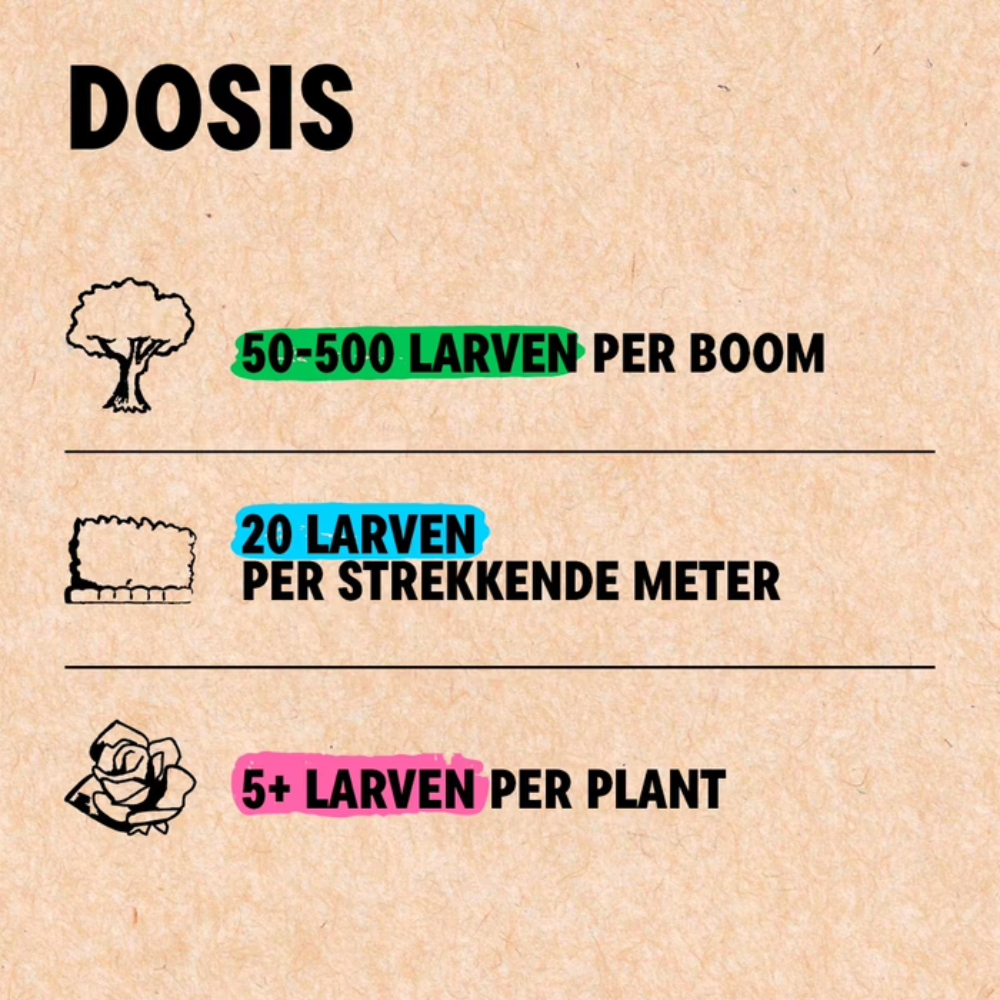 Bladluis bestrijden met Adalia