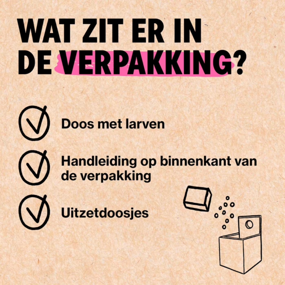 Bladluis bestrijden met Adalia
