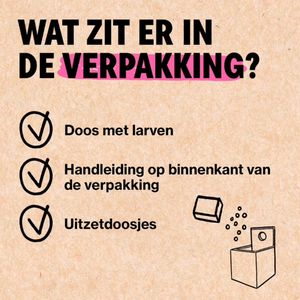 Bladluis bestrijden met Adalia