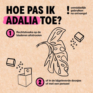 Bladluis bestrijden met Adalia