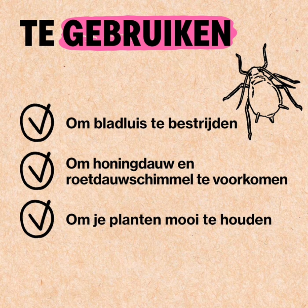 Bladluis bestrijden met Adalia