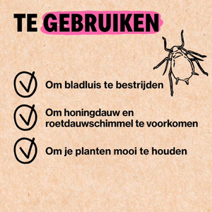 Bladluis bestrijden met Adalia