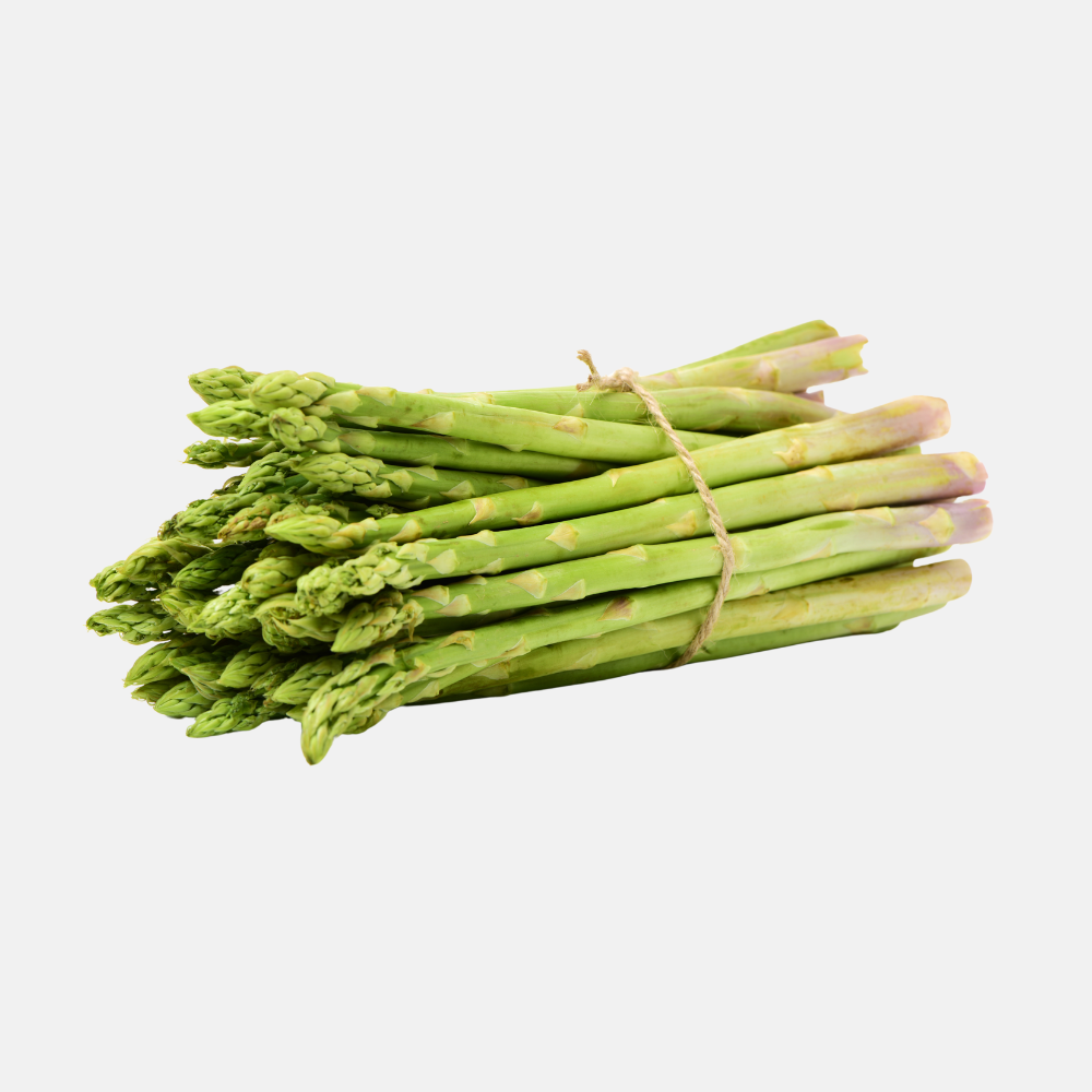 Groene asperge 'Xenolim' BIO