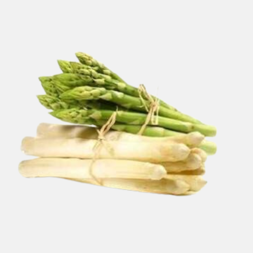 Aspergeplant 'Backlim' voor teelt groene en witte asperges BIO