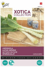 Laitue asperge Buzzy XOTICA