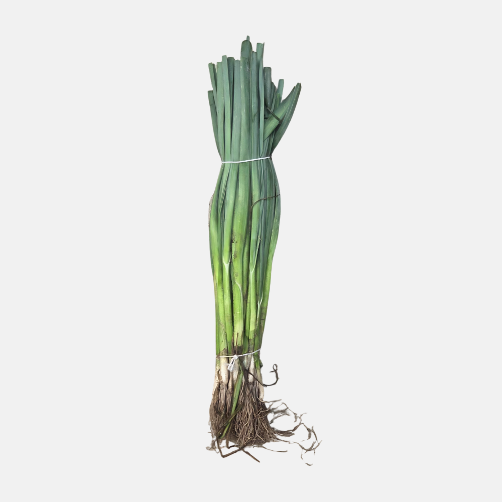 Winter preiplanten  25 stuks BIO