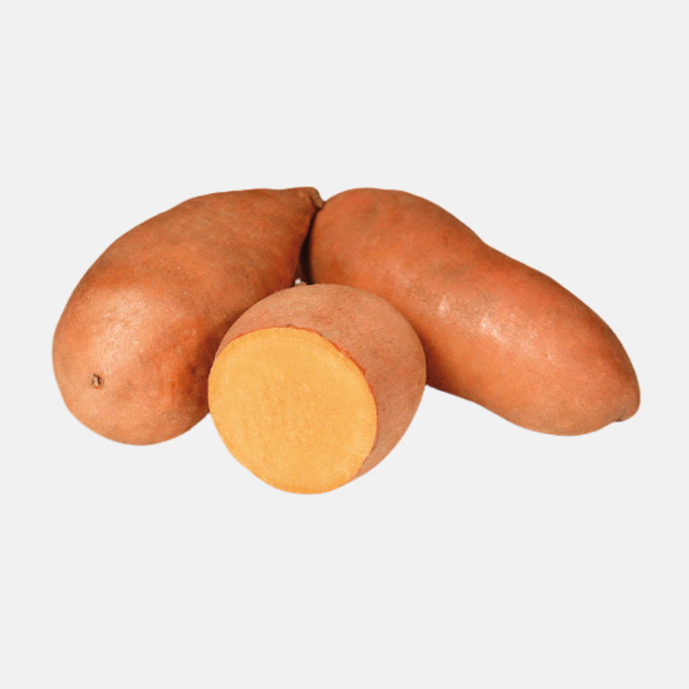 Oranje zoete aardappel plantjes 'Bellevue' 5 stuks