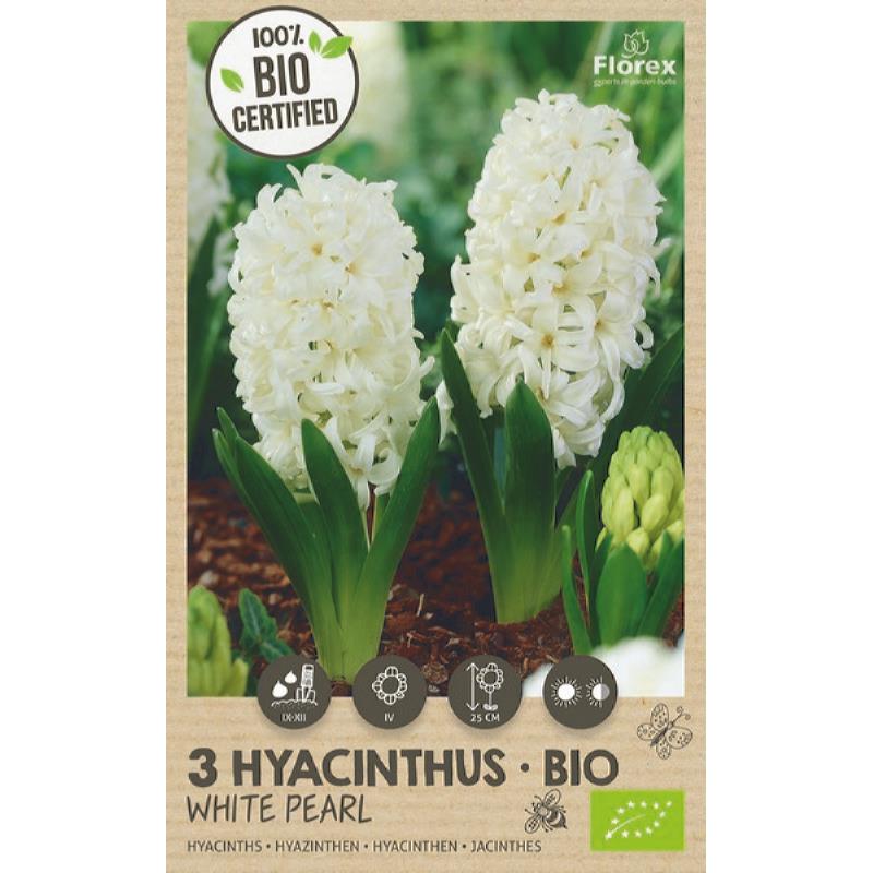 Bio Hyacint White Pearl 14/15 3 stuks