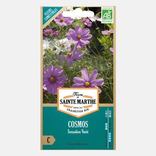 Cosmos bipinnatus 'Sensation mix' (cosmea) mixte BIO