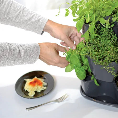 kruidentoren kruidenpot Coubi met ingebouwd waterreservoir