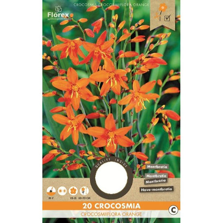 crocosmia bloembol kopen