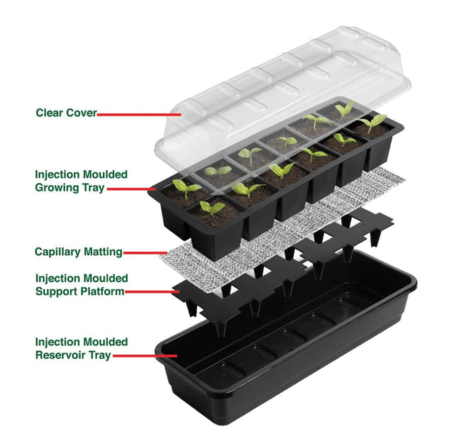 Kweekkas met 12 cellen - Succeskit met Automatische Bewatering