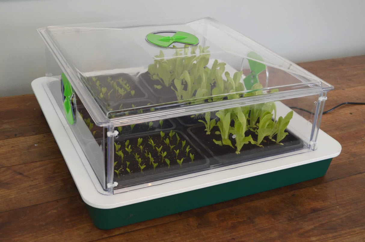 Propagator Vitopod 50W verwarmd met thermostaat en 2 LED groeilampen 60 cm (kies hoogte)