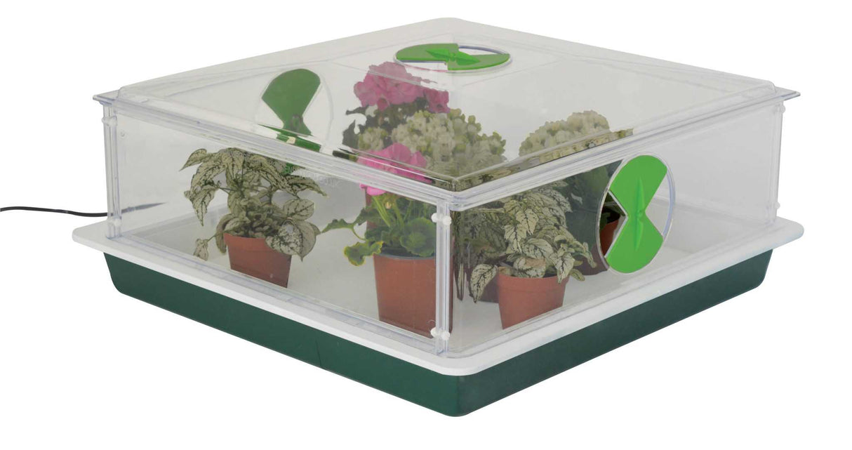 Propagateur Vitopod 50W chauffé avec thermostat (choisir la hauteur)