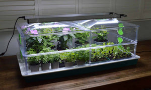 Propagator Vitopod groot 100 W verwarmd met thermostaat en 2 LED groeilampen 90 cm (kies hoogte)