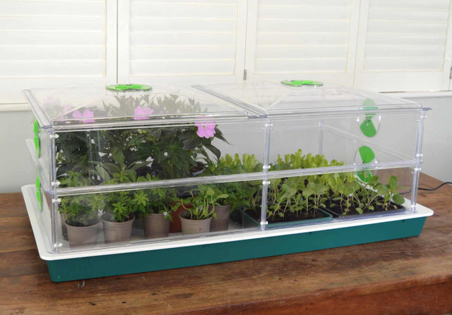 Propagator Vitopod groot 100 W verwarmd met thermostaat (kies hoogte)