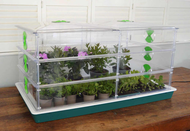 Propagator Vitopod groot 100 W verwarmd met thermostaat (kies hoogte)