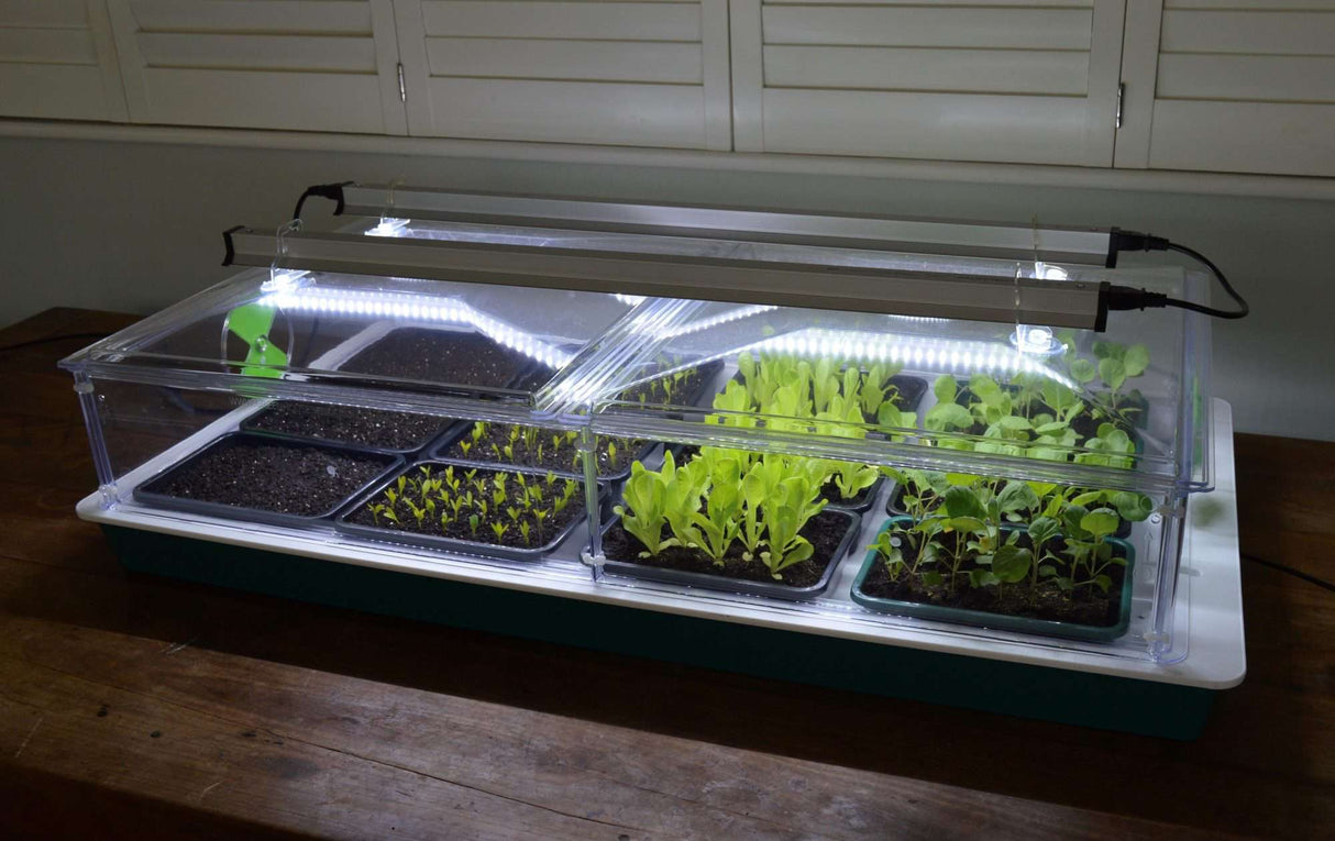 Propagator Vitopod groot 100 W verwarmd met thermostaat en 2 LED groeilampen 90 cm (kies hoogte)