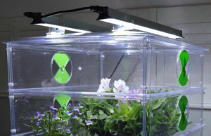 Propagator Vitopod 50W verwarmd met thermostaat en 2 LED groeilampen 60 cm (kies hoogte)