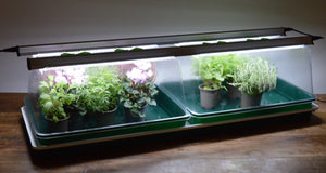 Propagator Geodome beheizt mit integrierten LED-Wachstumslichtern und Thermostat (2 Größen)