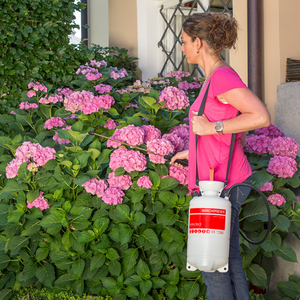 Pflanzensprüher Gloria Hobby 10 Fassungsvermögen 1 Liter