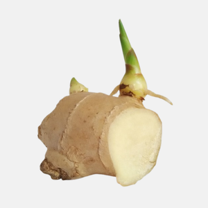 Ginger - 1 piece rhizome