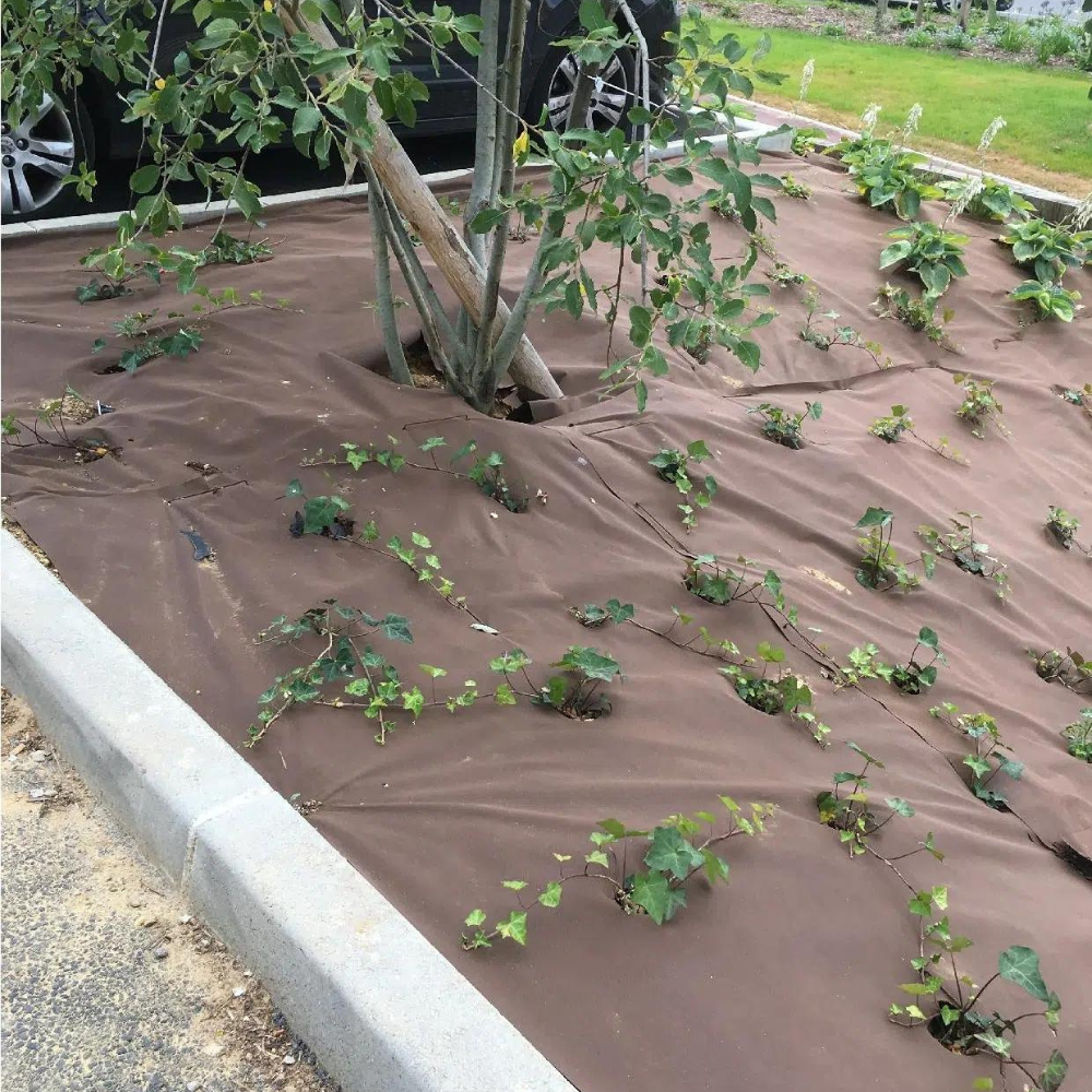 Mulchvlies Kopen? Gronddoek 5 X 1,5 Meter SOGO Mulchvlies Kopen? Gronddoek 5 X 1,5 Meter SOGO