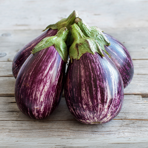 Gestreepte aubergine plant 1 stuk BIO